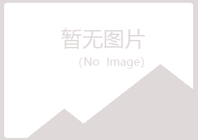 麻山区白山航空航天有限公司